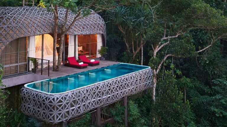 Value that tree house!