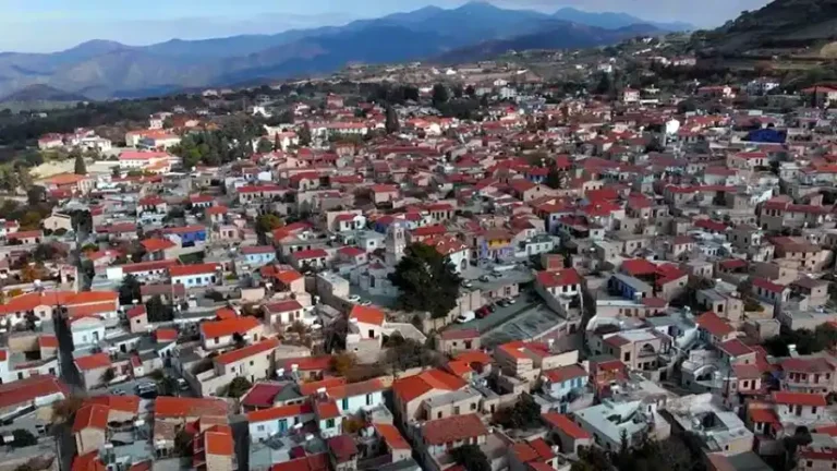 Strong growth in property sales to the domestic market