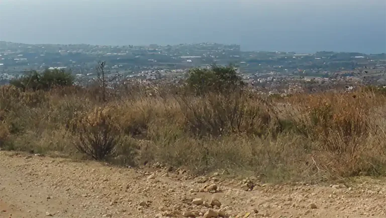 Land in Limassol sold for €5 million